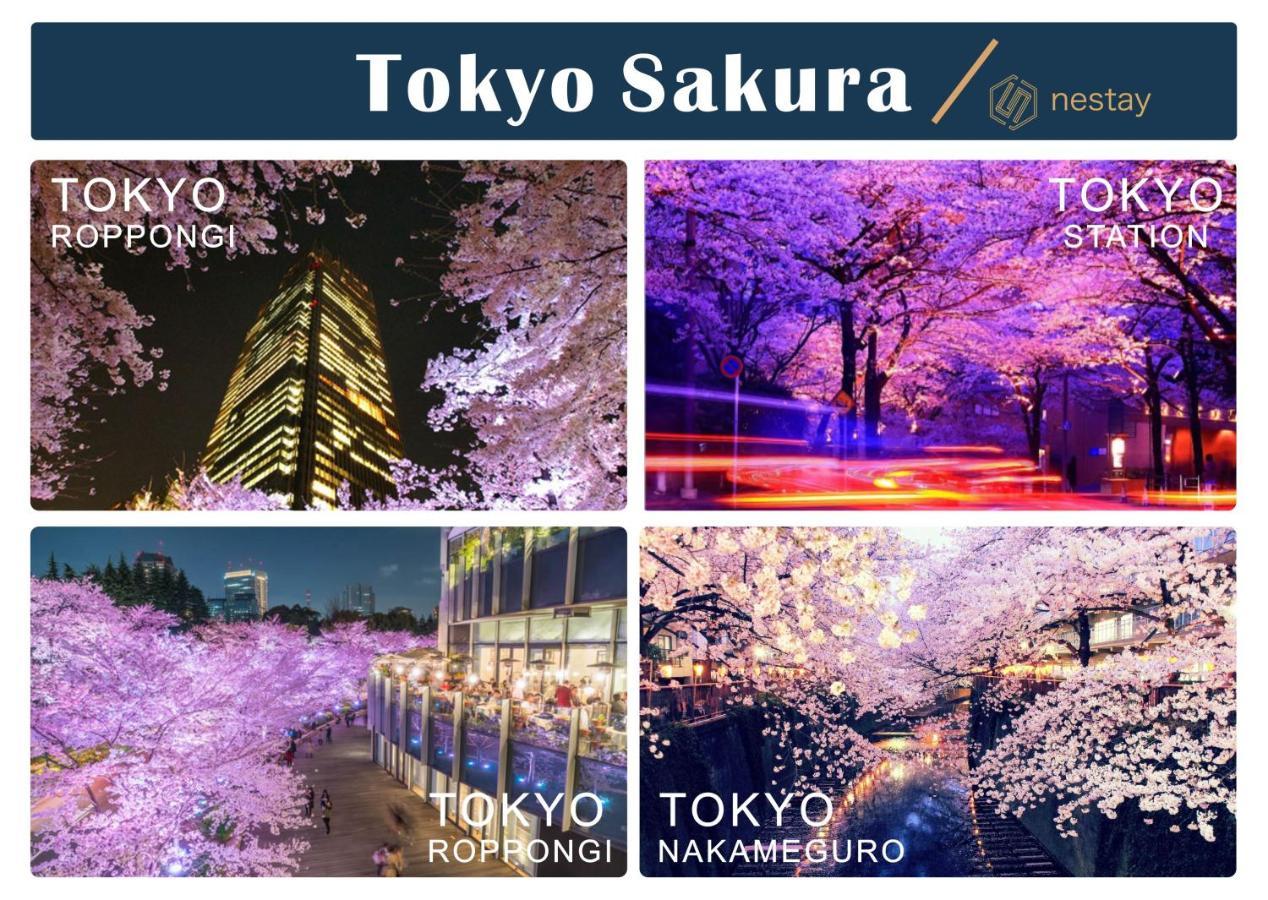 Nestay Inn Tokyo Otsuka 201 Bagian luar foto
