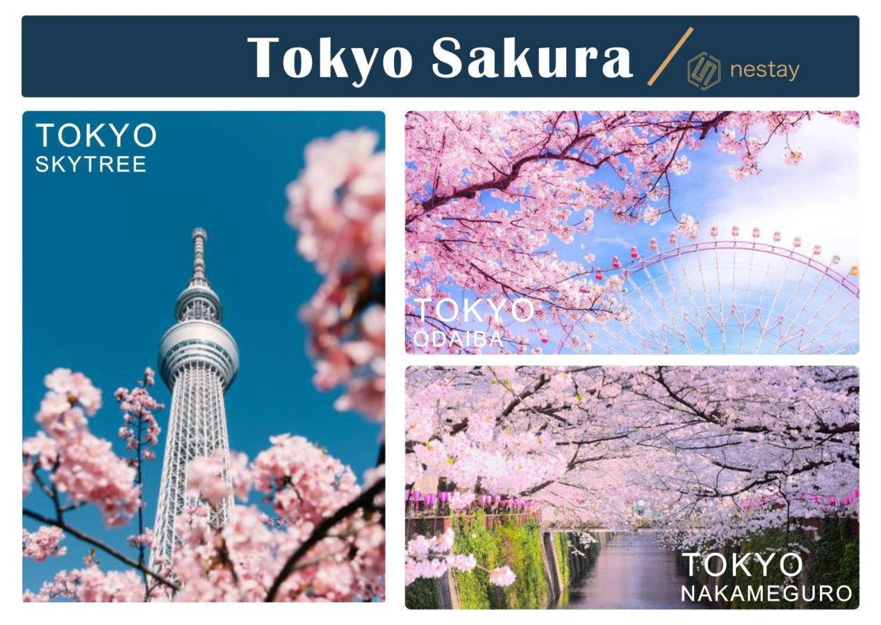 Nestay Inn Tokyo Otsuka 201 Bagian luar foto